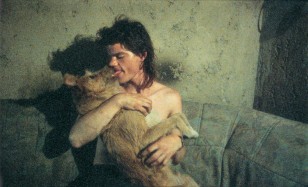 Animal Love