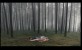 Paradies: Hoffnung Bild5