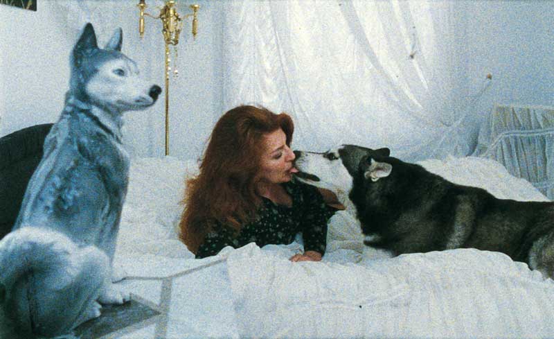 Tierische Liebe Bild5